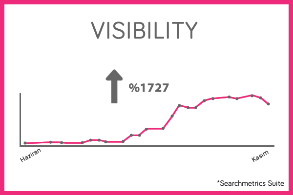 OSevio Visibility Score